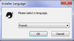 ../_images/fusioninventory-agent_windows-lang.png